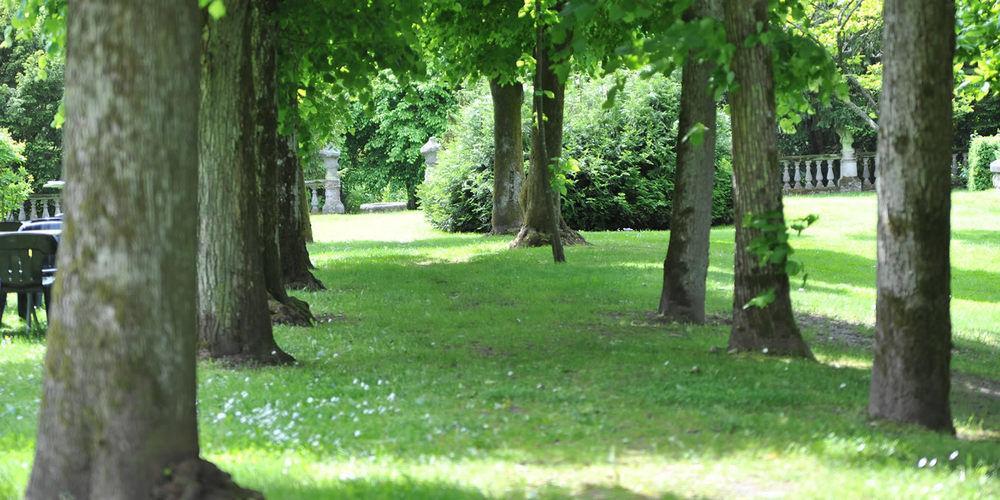 Romantik Hotel Schloss Hohenstein Ahorn  Dış mekan fotoğraf
